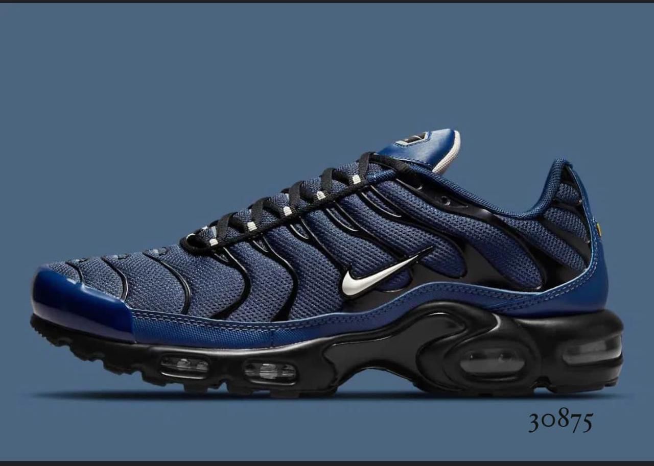 Nike Air Max TN hombre